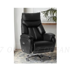 Fauteuil President...